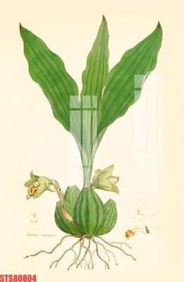 Chi tiết file ảnh Tranh sơn dầu phương tây tổng hợp STS80804 sắc nét