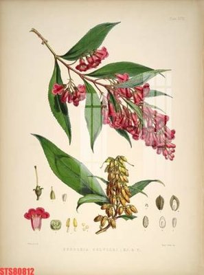 File ảnh Tranh sơn dầu phương tây tổng hợp STS80812 (gốc) trang trí khách sạn