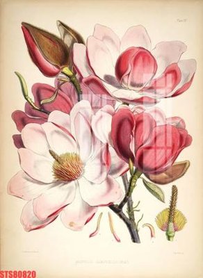 Hình ảnh file gốc Tranh sơn dầu phương tây tổng hợp STS80820 (chất lượng cao)