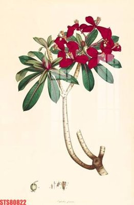 File gốc Tranh sơn dầu phương tây tổng hợp STS80822 (cho in ấn) từ Filetranh.com