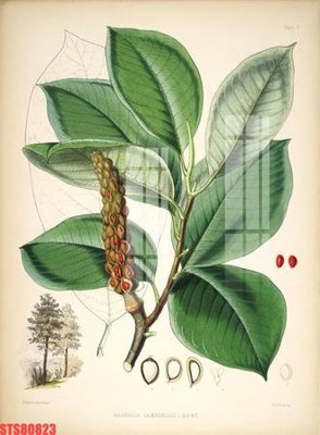 File gốc Tranh sơn dầu phương tây tổng hợp STS80823 (vector) cho in ấn