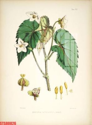 Tải file Tranh sơn dầu phương tây tổng hợp STS80826 (ảnh gốc) file AI/EPS