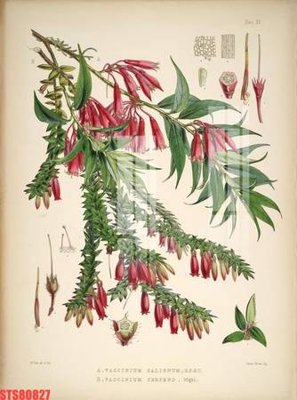 File tranh Tranh sơn dầu phương tây tổng hợp STS80827 (bản gốc) trang trí văn phòng