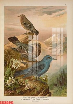 File tranh Tranh sơn dầu phương tây tổng hợp STS80842 (gốc) chủ đề con người