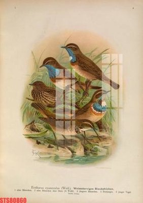 File tranh Tranh sơn dầu phương tây tổng hợp STS80860 (gốc) chủ đề con người