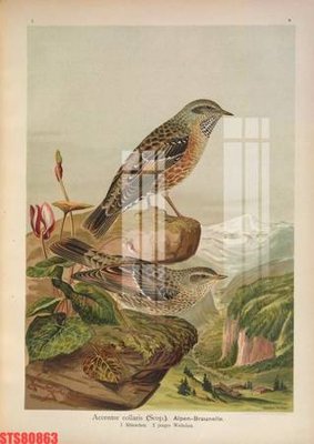 File gốc Tranh sơn dầu phương tây tổng hợp STS80863 (cho in ấn) từ kho Filetranh