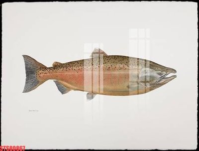 File PSD Tranh sơn dầu phương tây tổng hợp STS80867 (bản gốc) dễ dàng edit