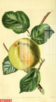 File gốc Tranh sơn dầu phương tây tổng hợp STS8087 (cho in ấn) từ Filetranh.com