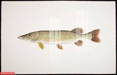 File gốc Tranh sơn dầu phương tây tổng hợp STS80876 (dành cho quảng cáo)