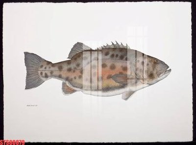 Download file Tranh sơn dầu phương tây tổng hợp STS80879 (gốc) in mica đèn LED