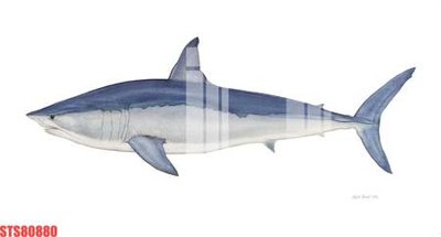 File gốc Tranh sơn dầu phương tây tổng hợp STS80880 (bản quyền) cho in ấn