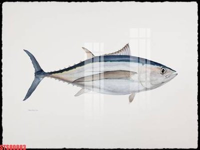 File PSD Tranh sơn dầu phương tây tổng hợp STS80883 (bản gốc) cho nhà in