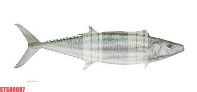 File tranh Tranh sơn dầu phương tây tổng hợp STS80887 (gốc) chủ đề trẻ em