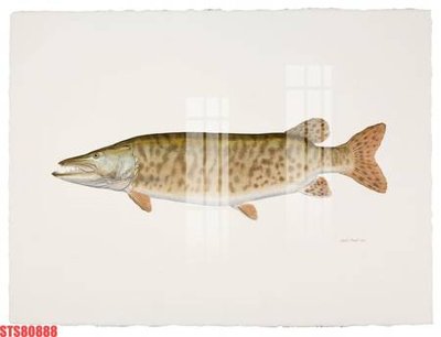 Tải file gốc Tranh sơn dầu phương tây tổng hợp STS80888 (in tráng gương) 5DFile gốc Tranh sơn dầu phương tây tổng hợp STS80888 (in ấn) phiên bản premium