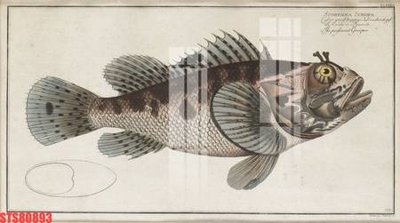 Download file Tranh sơn dầu phương tây tổng hợp STS80893 (gốc) in mica bàn thờ