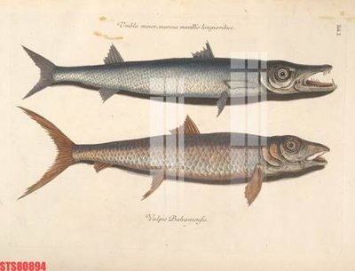 File gốc Tranh sơn dầu phương tây tổng hợp STS80894 (cho in UV) siêu nét