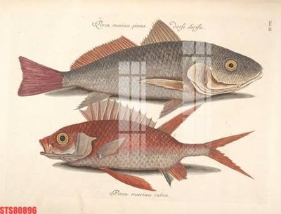 Tải file gốc Tranh sơn dầu phương tây tổng hợp STS80896 (bản PSD) chỉnh sửa được