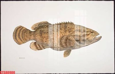 File gốc Tranh sơn dầu phương tây tổng hợp STS80900 (in lụa) tranh thuận buồm