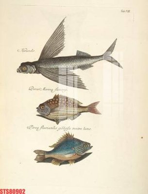 File gốc Tranh sơn dầu phương tây tổng hợp STS80902 (cho in 3D) độc đáo