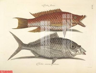 Tải file Tranh sơn dầu phương tây tổng hợp STS80905 (gốc) chủ đề tâm linh