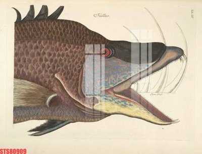 File PSD Tranh sơn dầu phương tây tổng hợp STS80909 (bản gốc) độ phân giải cao