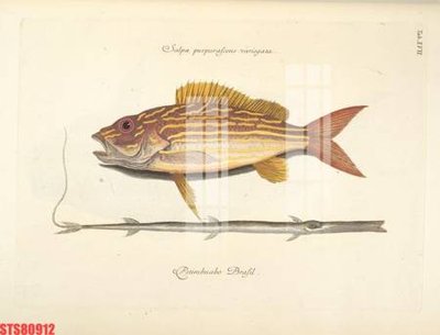 File ảnh Tranh sơn dầu phương tây tổng hợp STS80912 (gốc) in standee