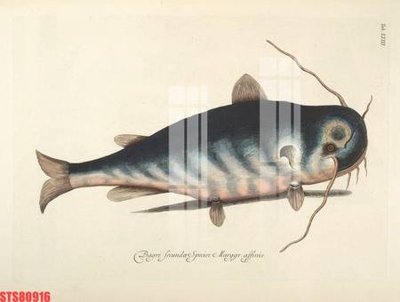 File tranh Tranh sơn dầu phương tây tổng hợp STS80916 (ảnh gốc) độc quyền