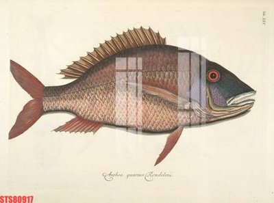 File gốc Tranh sơn dầu phương tây tổng hợp STS80917 (ảnh chi tiết) để in trần