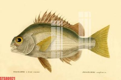 File gốc Tranh sơn dầu phương tây tổng hợp STS80921 (in ấn) không giới hạn