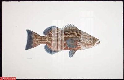 File gốc Tranh sơn dầu phương tây tổng hợp STS80922 (trang trí) phòng làm việc