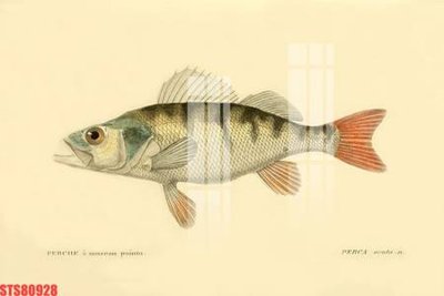 File tranh Tranh sơn dầu phương tây tổng hợp STS80928 (ảnh gốc) in trần xuyên sáng