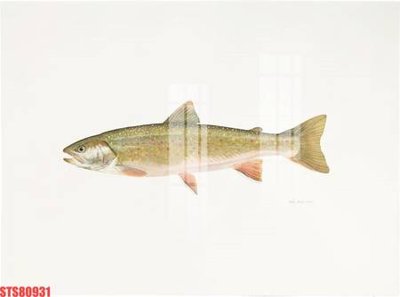 File tranh quảng cáo Tranh sơn dầu phương tây tổng hợp STS80931 (download file gốc)