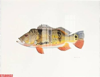 File tranh quảng cáo Tranh sơn dầu phương tây tổng hợp STS80932 (download file gốc)