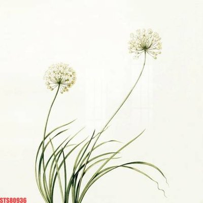 File gốc Tranh sơn dầu phương tây tổng hợp STS80936 (trang trí) phòng trẻ em