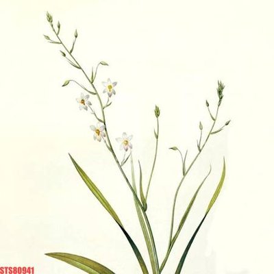 Tải file Tranh sơn dầu phương tây tổng hợp STS80941 (ảnh gốc) file AI/EPS