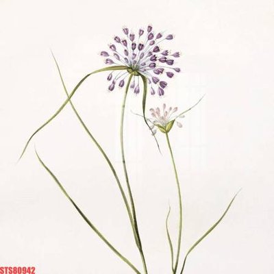 File gốc Tranh sơn dầu phương tây tổng hợp STS80942 (PSD/TIFF) độ phân giải cao