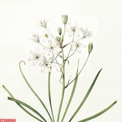 File tranh Tranh sơn dầu phương tây tổng hợp STS80944 (gốc) in backlit film