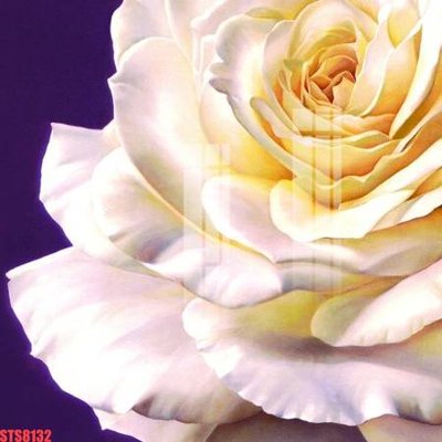 File in ấn Tranh sơn dầu phương tây tổng hợp STS8132 (bản gốc) từ file gốc