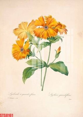 Tải về file gốc Tranh sơn dầu phương tây tổng hợp STS8161 (dùng cho in quảng cáo)