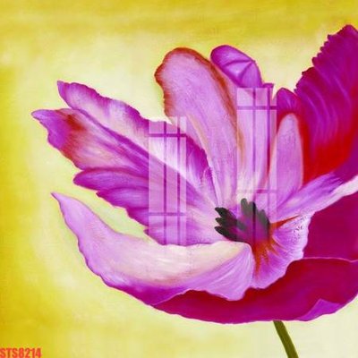 Download file Tranh sơn dầu phương tây tổng hợp STS8214 (gốc) cho xưởng in