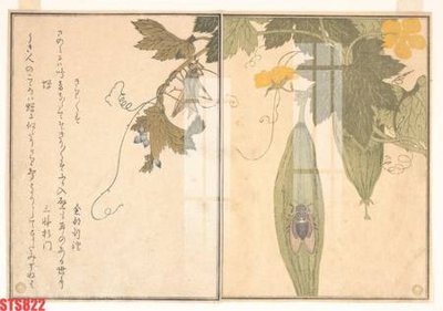 File tranh Tranh sơn dầu phương tây tổng hợp STS822 (gốc) chủ đề tĩnh vật