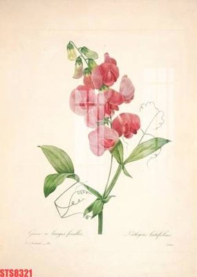 File gốc Tranh sơn dầu phương tây tổng hợp STS8321 (in lụa) tranh mã đáo