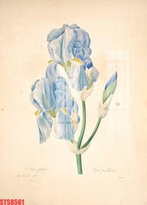 File ảnh Tranh sơn dầu phương tây tổng hợp STS8561 (gốc) in decal dán tường