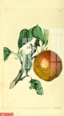 File PSD Tranh sơn dầu phương tây tổng hợp STS8647 (bản gốc) chất lượng nhất