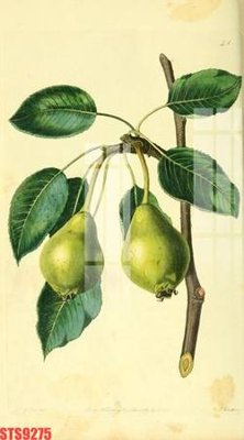 File tranh Tranh sơn dầu phương tây tổng hợp STS9275 (ảnh gốc) độ nét vượt trội