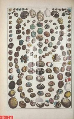 File PSD Tranh sơn dầu phương tây tổng hợp STS9411 (bản gốc) chất lượng nhất