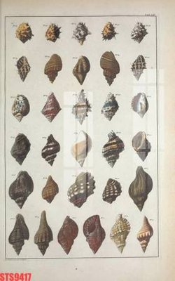 File tranh gốc PSD Tranh sơn dầu phương tây tổng hợp STS9417 còn nguyên layer