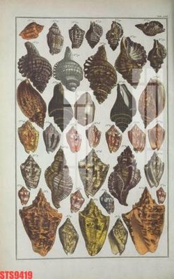 File in trần Tranh sơn dầu phương tây tổng hợp STS9419 (bản gốc 3D) sống động