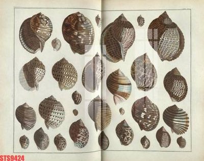 File ảnh Tranh sơn dầu phương tây tổng hợp STS9424 (gốc) in quảng cáo ngoài trời