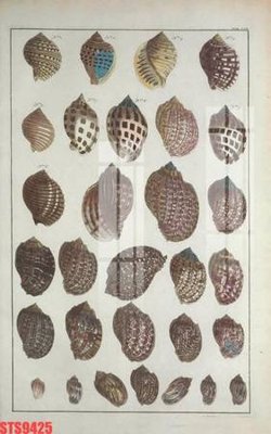 File gốc in tráng gương Tranh sơn dầu phương tây tổng hợp STS9425 chi tiết